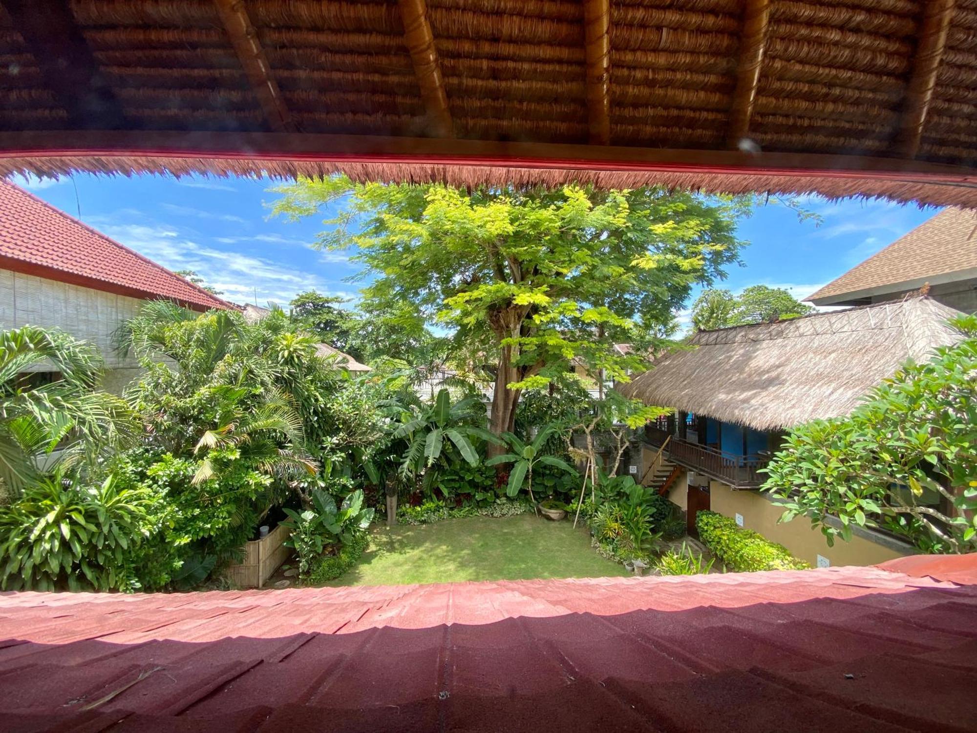 Little Tree House Hotel Sanur  Bilik gambar